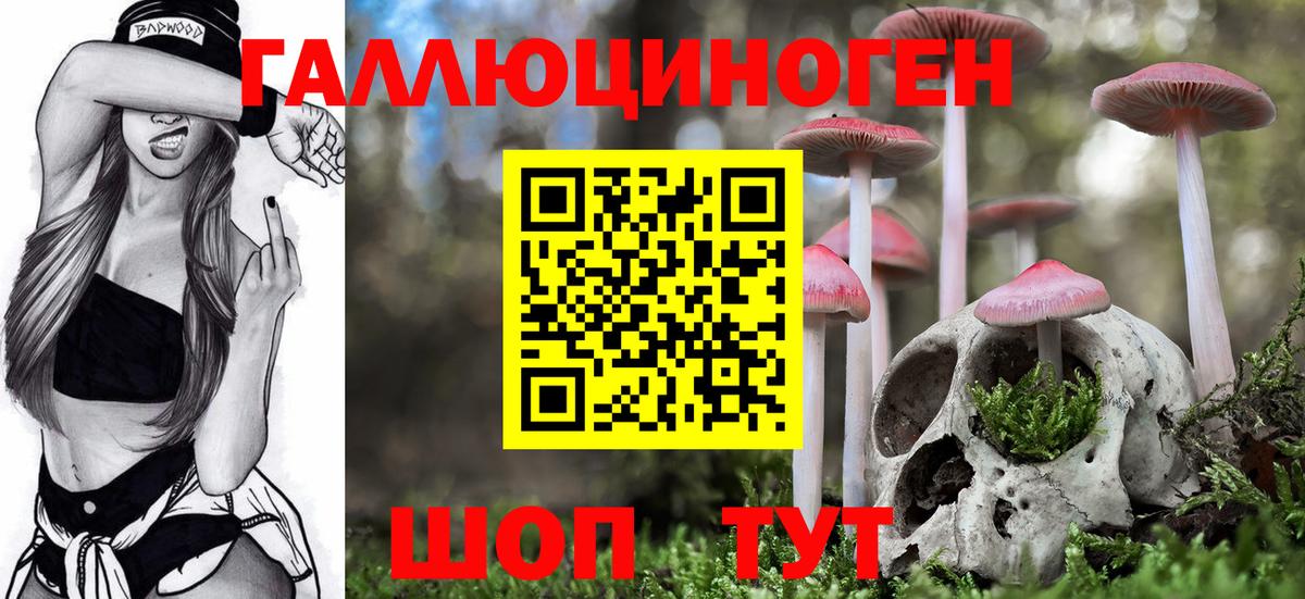 Галлюциногенные грибы мицелий Тула